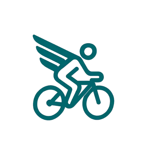 Cycling Fly